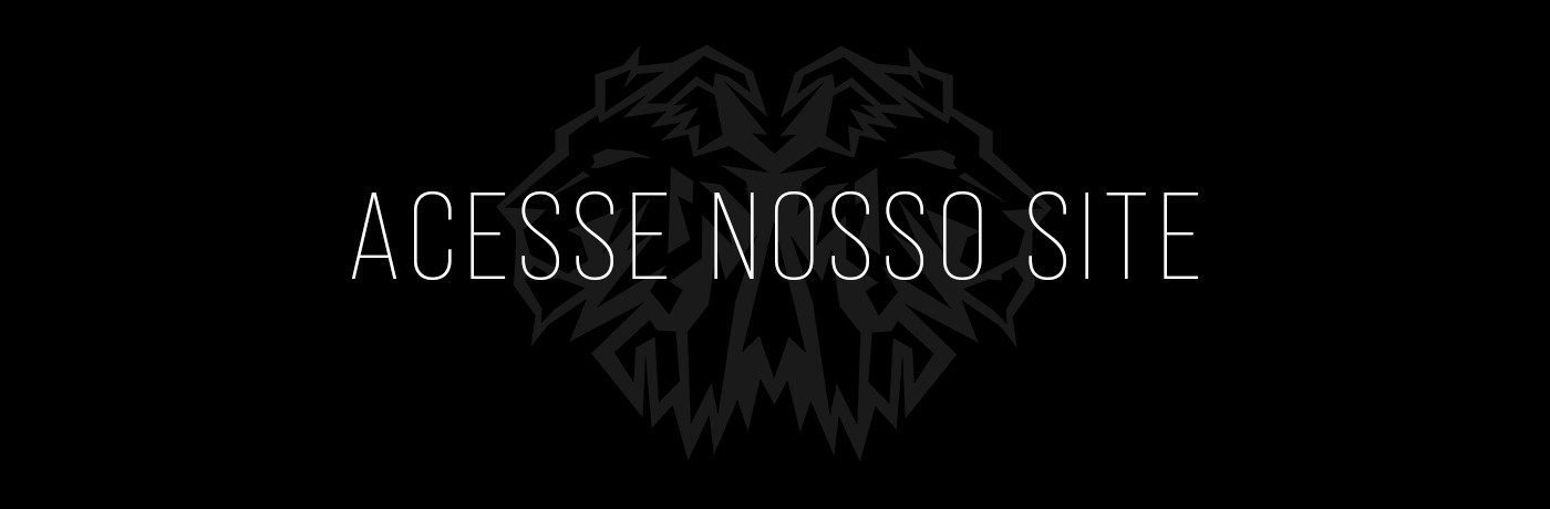Acesse o site da LIONZ Co.